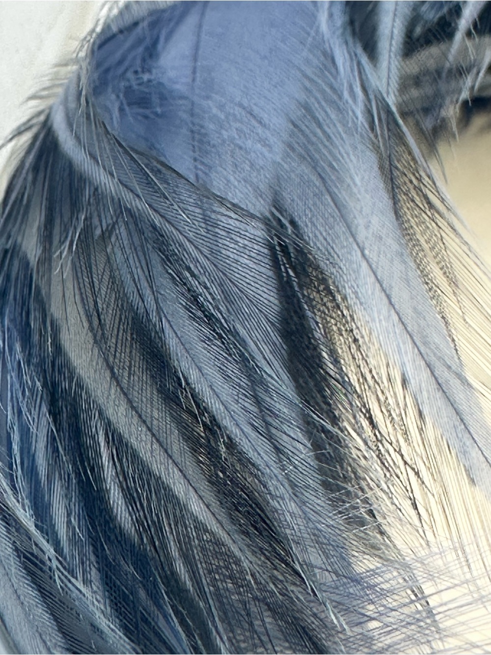Blue Feather Hair Accessory - Unbranded